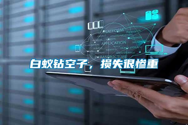 白蟻鉆空子，損失很慘重
