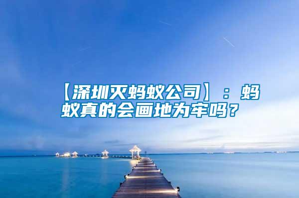 【深圳滅螞蟻公司】：螞蟻真的會畫地為牢嗎？