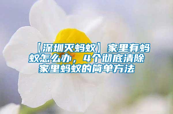 【深圳滅螞蟻】家里有螞蟻怎么辦，4個(gè)徹底清除家里螞蟻的簡單方法