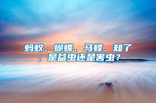 螞蟻、蝴蝶、馬蜂、知了，是益蟲還是害蟲？