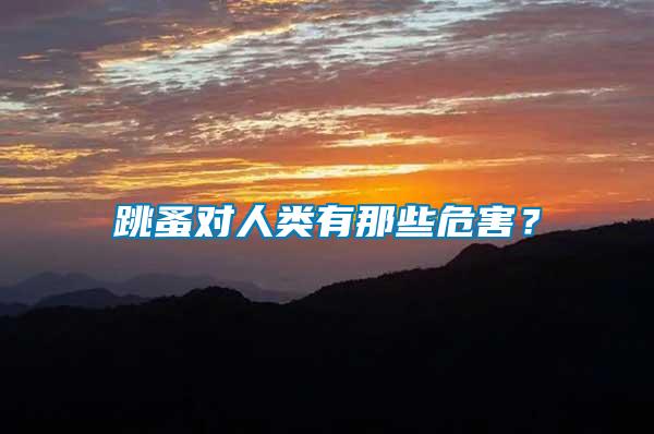 跳蚤對(duì)人類有那些危害？