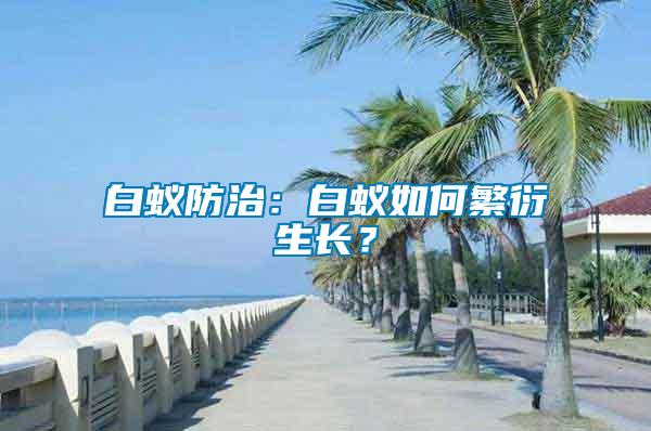 白蟻防治：白蟻如何繁衍生長？