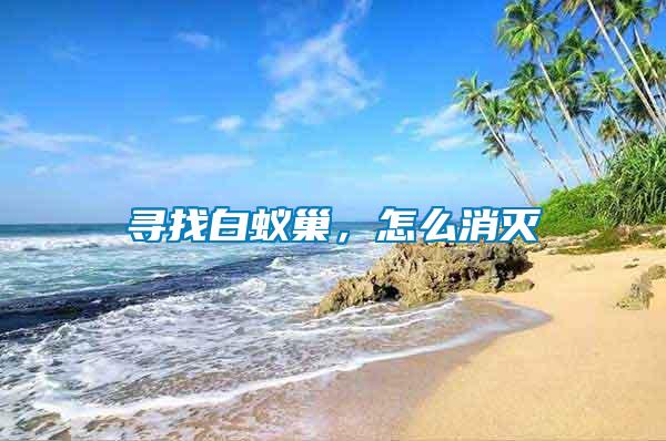 尋找白蟻巢，怎么消滅
