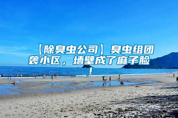 【除臭蟲公司】臭蟲組團(tuán)襲小區(qū)，墻壁成了麻子臉！