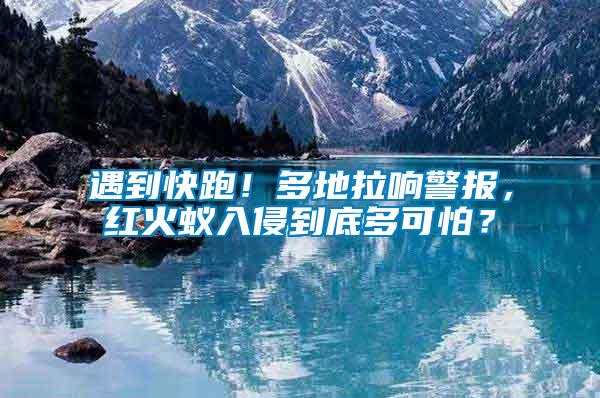 遇到快跑！多地拉響警報，紅火蟻入侵到底多可怕？