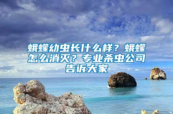 蛾蠓幼蟲長什么樣？蛾蠓怎么消滅？專業(yè)殺蟲公司告訴大家
