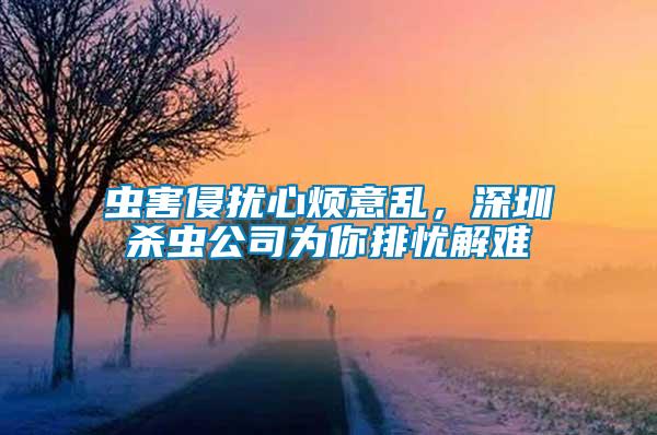 蟲害侵擾心煩意亂，深圳殺蟲公司為你排憂解難