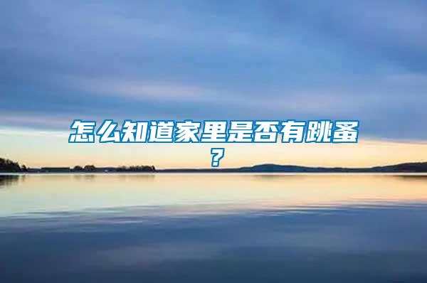 怎么知道家里是否有跳蚤？