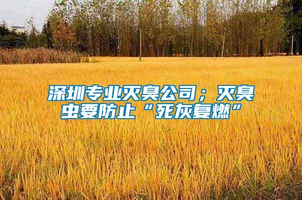 深圳專業(yè)滅臭公司；滅臭蟲要防止“死灰復燃”