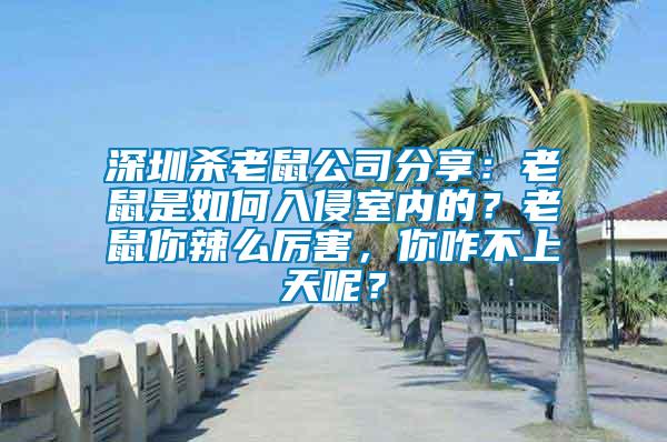 深圳殺老鼠公司分享：老鼠是如何入侵室內(nèi)的？老鼠你辣么厲害，你咋不上天呢？