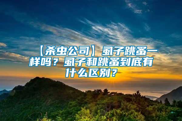 【殺蟲公司】虱子跳蚤一樣嗎？虱子和跳蚤到底有什么區(qū)別？