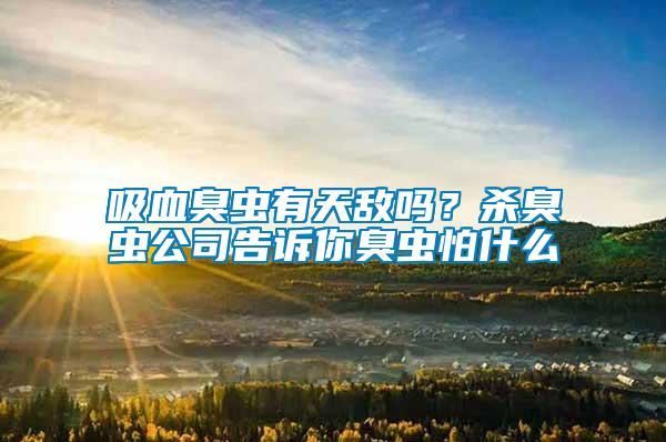 吸血臭蟲(chóng)有天敵嗎？殺臭蟲(chóng)公司告訴你臭蟲(chóng)怕什么