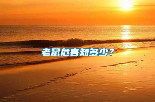 老鼠危害知多少？