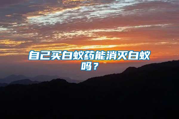 自己買白蟻藥能消滅白蟻嗎？