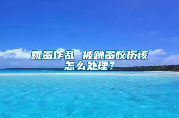 跳蚤作亂 被跳蚤咬傷該怎么處理？