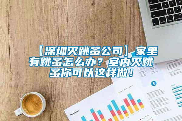 【深圳滅跳蚤公司】家里有跳蚤怎么辦？室內(nèi)滅跳蚤你可以這樣做！