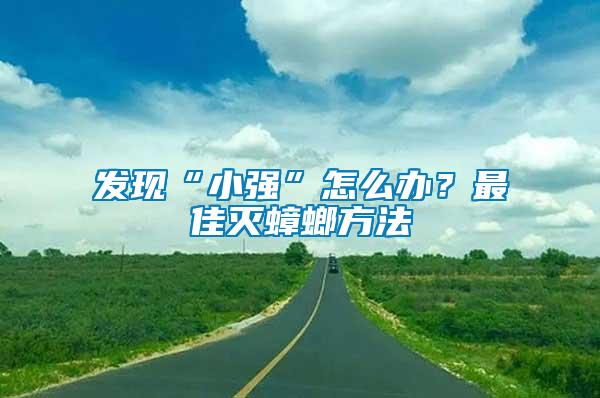 發(fā)現(xiàn)“小強(qiáng)”怎么辦？最佳滅蟑螂方法