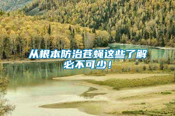 從根本防治蒼蠅這些了解必不可少！