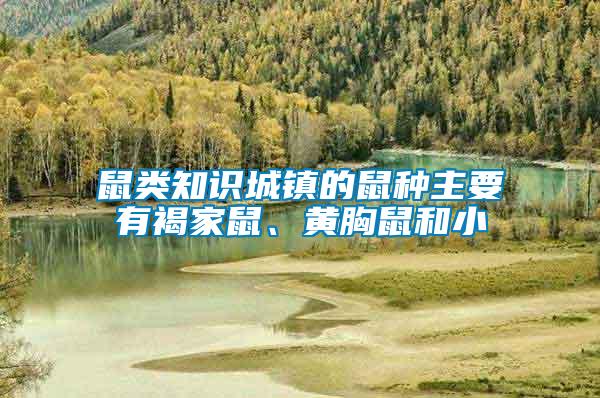 鼠類知識(shí)城鎮(zhèn)的鼠種主要有褐家鼠、黃胸鼠和小