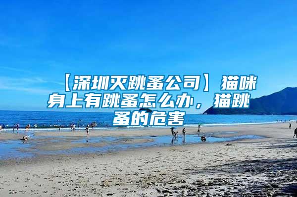 【深圳滅跳蚤公司】貓咪身上有跳蚤怎么辦，貓?zhí)榈奈：?/></p>
             <p style=