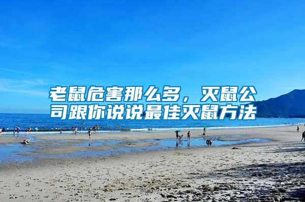 老鼠危害那么多，滅鼠公司跟你說說最佳滅鼠方法