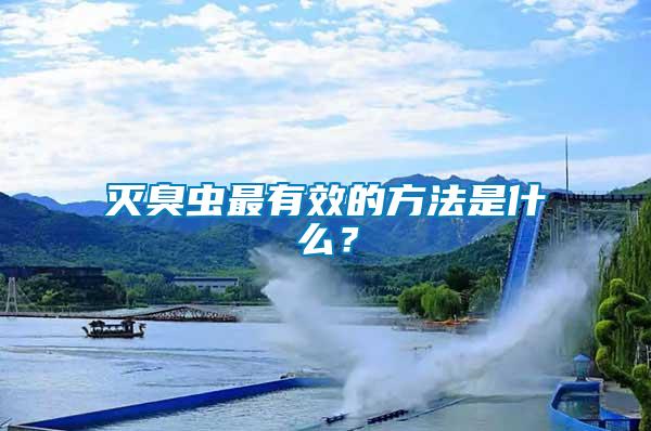 滅臭蟲(chóng)最有效的方法是什么？
