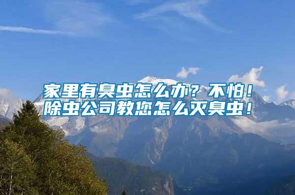 家里有臭蟲怎么辦？不怕！除蟲公司教您怎么滅臭蟲！