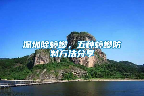 深圳除蟑螂，五種蟑螂防制方法分享