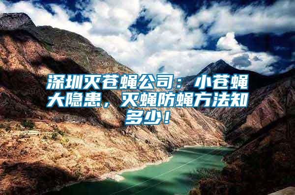 深圳滅蒼蠅公司：小蒼蠅大隱患，滅蠅防蠅方法知多少！