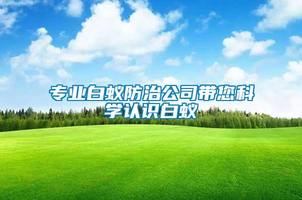 專業(yè)白蟻防治公司帶您科學(xué)認(rèn)識(shí)白蟻