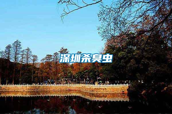 深圳殺臭蟲