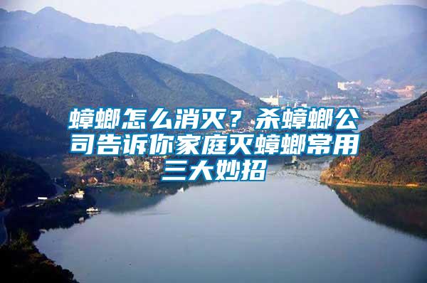 蟑螂怎么消滅？殺蟑螂公司告訴你家庭滅蟑螂常用三大妙招