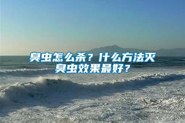 臭蟲怎么殺？什么方法滅臭蟲效果最好？