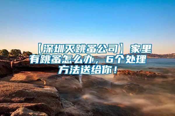 【深圳滅跳蚤公司】家里有跳蚤怎么辦，6個(gè)處理方法送給你！