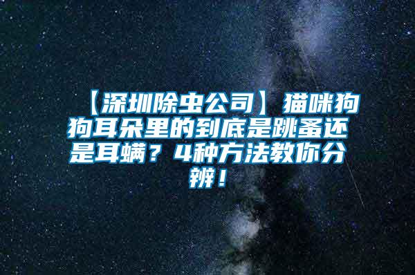 【深圳除蟲公司】貓咪狗狗耳朵里的到底是跳蚤還是耳螨？4種方法教你分辨！