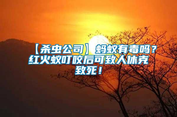 【殺蟲公司】螞蟻有毒嗎？紅火蟻叮咬后可致人休克致死！