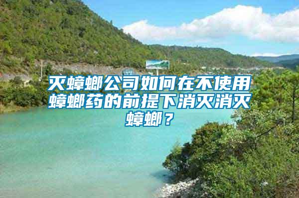 滅蟑螂公司如何在不使用蟑螂藥的前提下消滅消滅蟑螂？