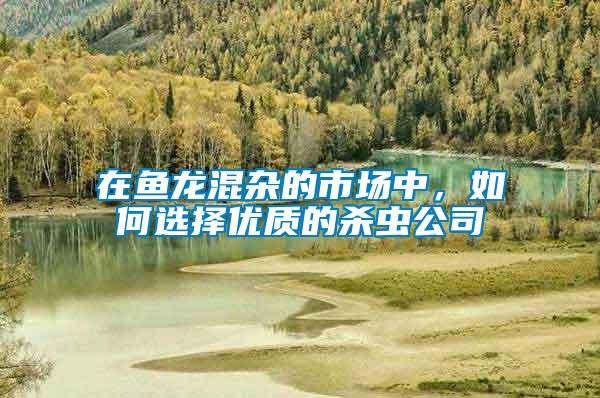 在魚龍混雜的市場中，如何選擇優(yōu)質(zhì)的殺蟲公司