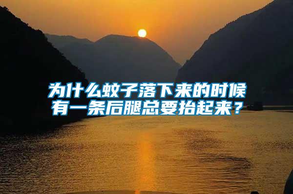 為什么蚊子落下來(lái)的時(shí)候有一條后腿總要抬起來(lái)？