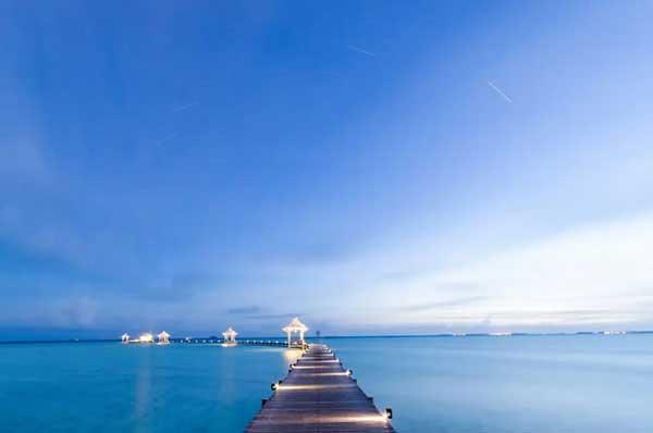 速覽臭蟲的生理習(xí)性、危害及防制方法！