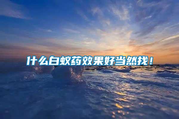 什么白蟻藥效果好當(dāng)然找！