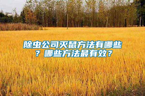 除蟲公司滅鼠方法有哪些？哪些方法最有效？