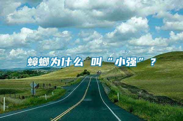 蟑螂為什么 叫“小強(qiáng)”？