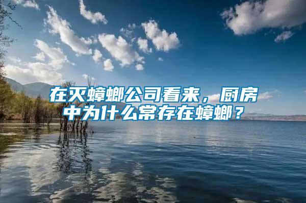 在滅蟑螂公司看來，廚房中為什么常存在蟑螂？