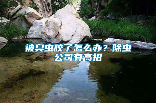 被臭蟲咬了怎么辦？除蟲公司有高招