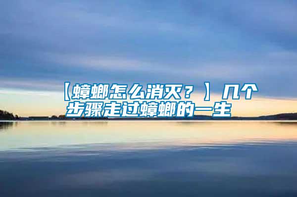 【蟑螂怎么消滅？】幾個(gè)步驟走過蟑螂的一生