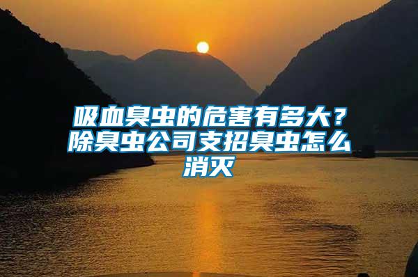 吸血臭蟲(chóng)的危害有多大？除臭蟲(chóng)公司支招臭蟲(chóng)怎么消滅