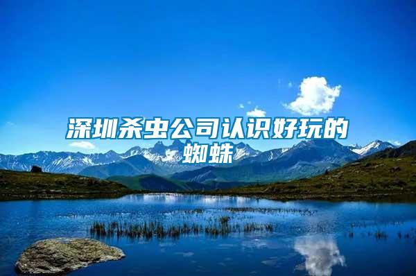 深圳殺蟲公司認(rèn)識好玩的蜘蛛