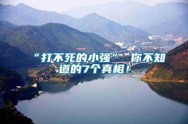 “打不死的小強” 你不知道的7個真相！