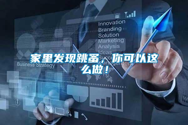 家里發(fā)現(xiàn)跳蚤，你可以這么做！